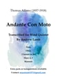 Andante Con Moto P.O.D cover